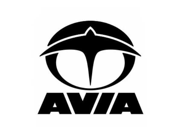 Wiper blades Avia